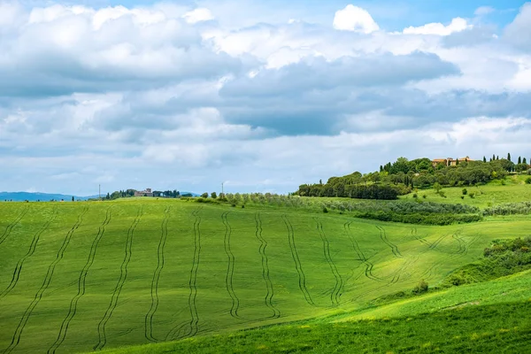 Lindamente Iluminada Paisagem Toscana Colinas Verdes — Fotografia de Stock