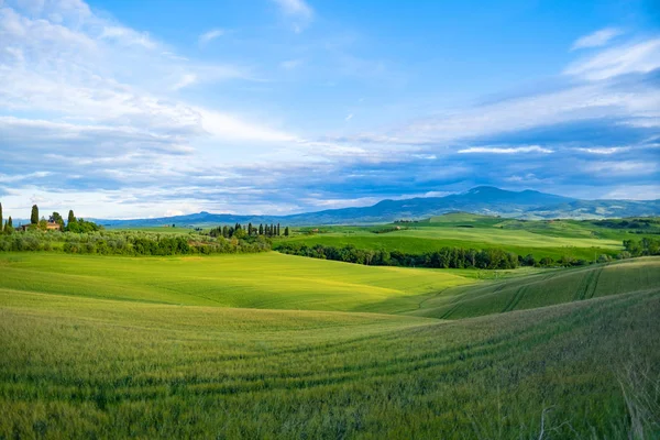 Splendidamente Illuminato Paesaggio Della Toscana Verdi Colline — Foto Stock