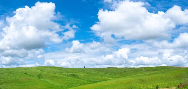 トスカーナの美しく照らされた風景 グリーンヒルズ — ストック写真