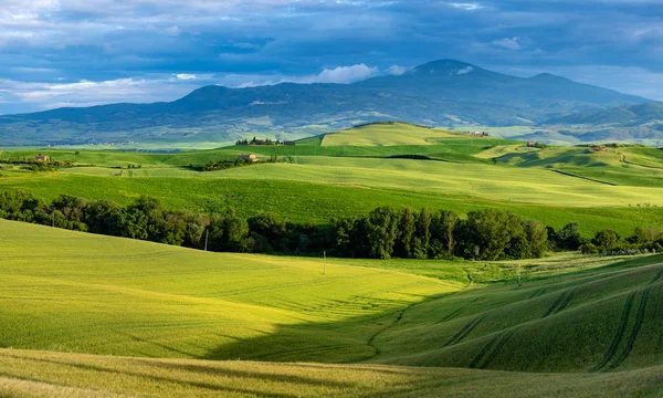 Lindamente Iluminada Paisagem Toscana Colinas Verdes — Fotografia de Stock