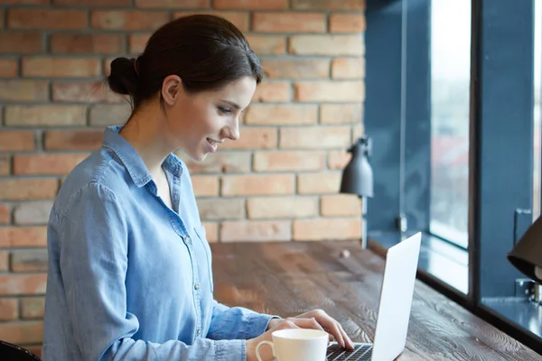 Gyönyörű barna használ a laptop a kávézóban. Blogger munka fogalma — Stock Fotó