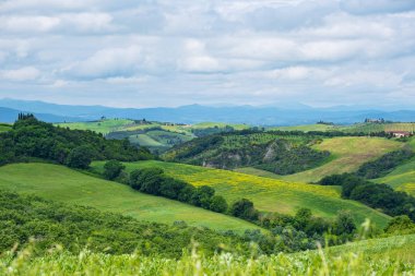 İtalya, Toskana 'da güzel bir bahar manzarası 