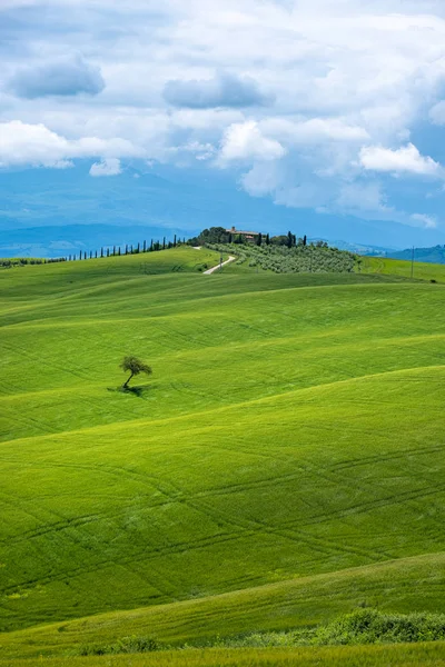 İtalya, Toskana 'da güzel bir bahar manzarası — Stok fotoğraf