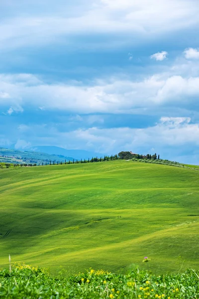 Vackert vårlandskap i Toscana, Italien — Stockfoto