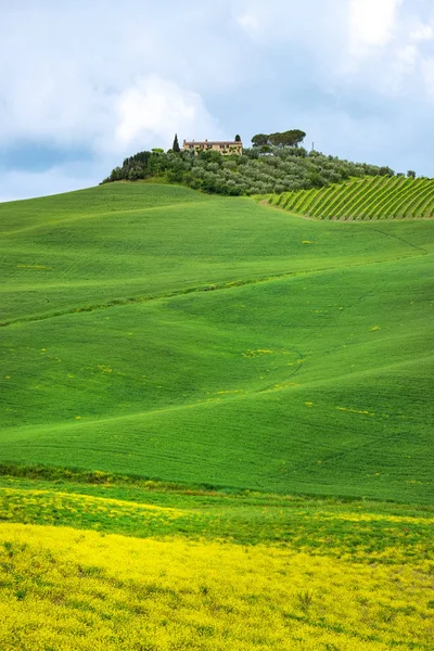 Prachtig voorjaarslandschap in Toscane, Italië — Stockfoto