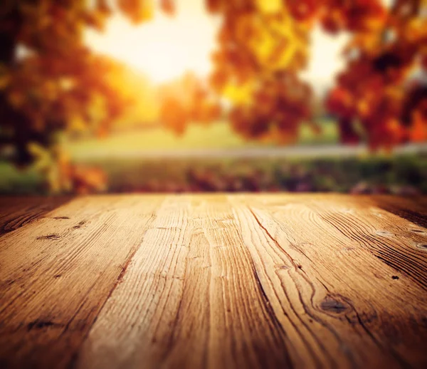 Autumn Background Close — Stock Photo, Image