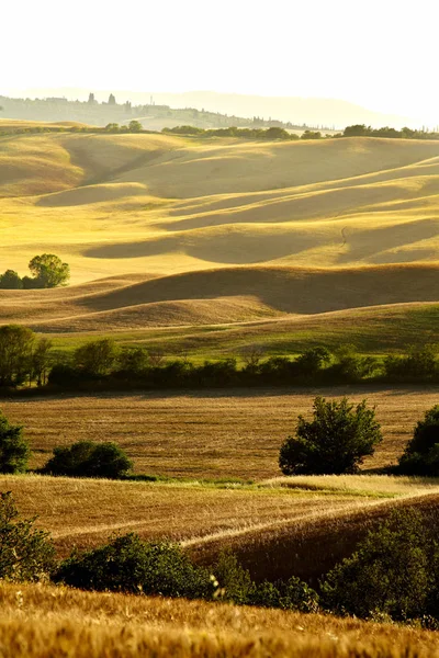 Naturskön utsikt över typiskt Toscana landskap, Italien — Stockfoto