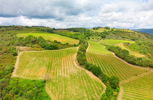Aerial view of a vineyard and hotel in the green landscape of Tu — Stock Photo, Image