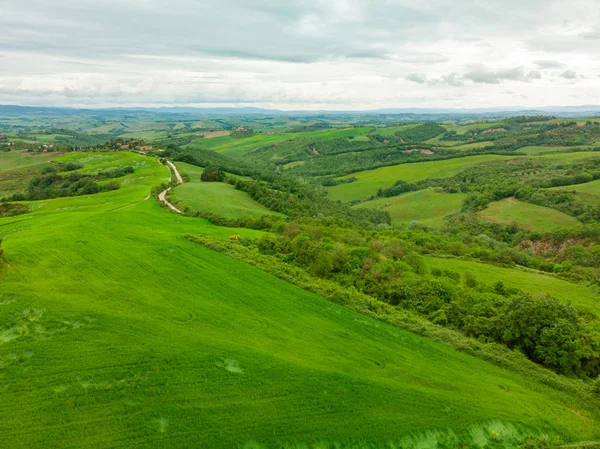 Luftaufnahme eines Weinbergs und Hotels in der grünen Landschaft von Tu — Stockfoto