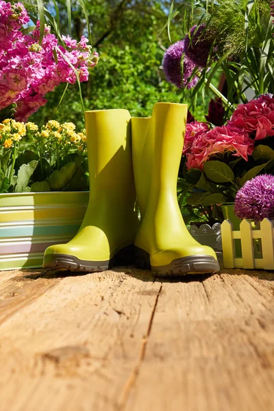 Herramientas de jardinería y flores en la terraza del jardín — Foto de Stock