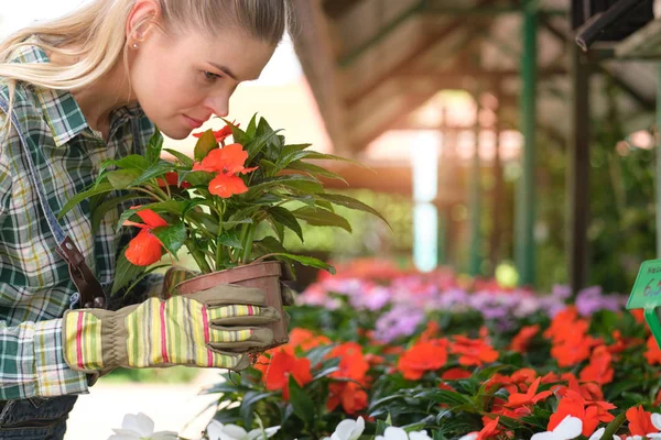 Personas, jardinería y concepto de profesión - mujer feliz o jardín —  Fotos de Stock