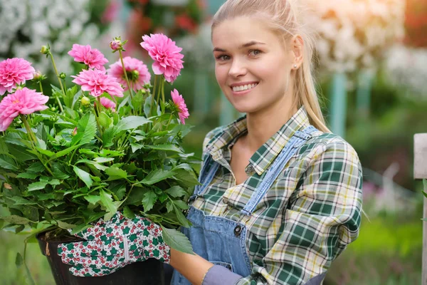 Serada bahçıvanlık eden genç bir kadın. Çiçek seçiyor.. — Stok fotoğraf