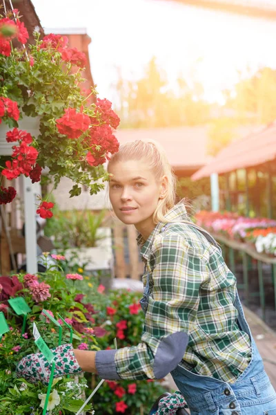 Junge erwachsene Frau gärtnert in einem Gewächshaus und pflanzt ein paar Blumen — Stockfoto