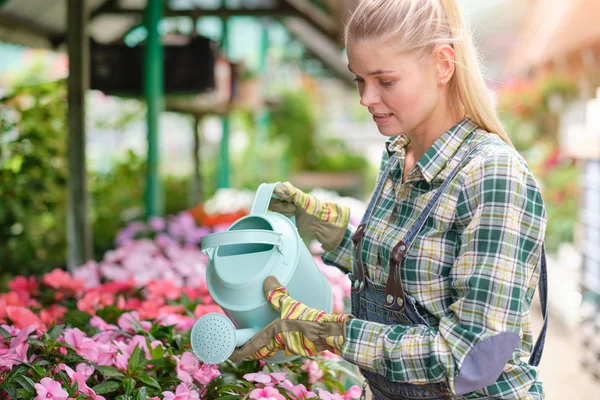 Jardinería de mujeres jóvenes adultas en un invernadero, plantando algo de hilo dental —  Fotos de Stock