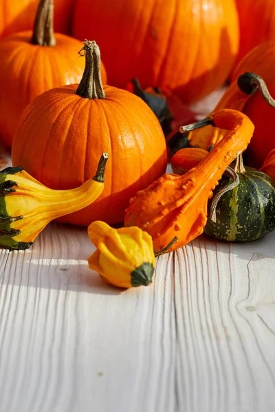 Bodegón de otoño con calabazas, mazorcas de maíz y hojas en madera b — Foto de Stock