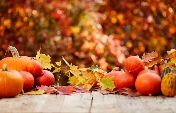 Herfst natuurconcept. Valpompoenen en appels op houten rustiek — Stockfoto