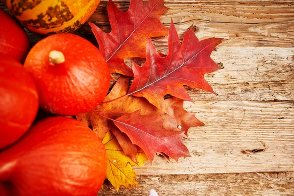 Jesienny wystrój z dyń, jagód i liści na białej wełnie — Zdjęcie stockowe
