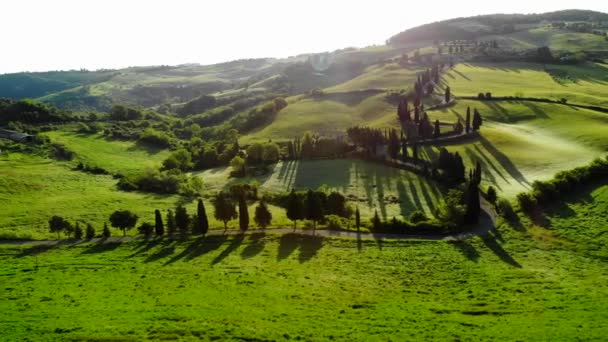 イタリアのトスカーナの美しい風景 白い道に沿ってヒノキの木 — ストック動画