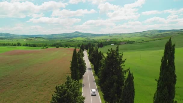 イタリアのトスカーナの美しい風景 白い道に沿ってヒノキの木 — ストック動画