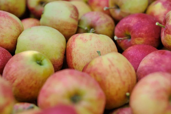 Gran grupo de manzanas rojas maduras fondo — Foto de Stock