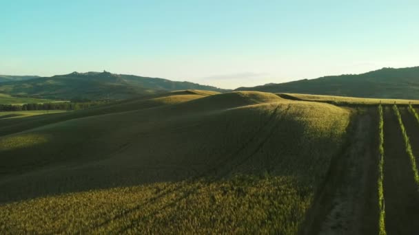 Tuscany Platteland Heuvels Schitterende Luchtfoto Het Voorjaar — Stockvideo