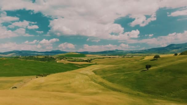 Vídeo Aéreo Uma Incrível Paisagem Vinícola Com Drone Acima Das — Vídeo de Stock