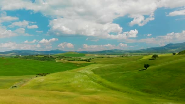 Luftbild Einer Atemberaubenden Weinberglandschaft Mit Drohne Über Weinbergen Einem Schönen — Stockvideo