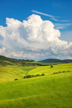Tuscany 'nin tarlalarında bahar günbatımında