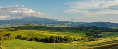 İtalya, Toskana 'nın yeşil bahar manzarasının güzel ve mucizevi renkleri.