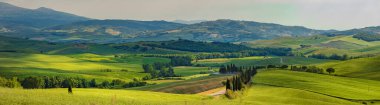 Beautiful and miraculous colors of green spring panorama landscape of Tuscany, Italy. clipart