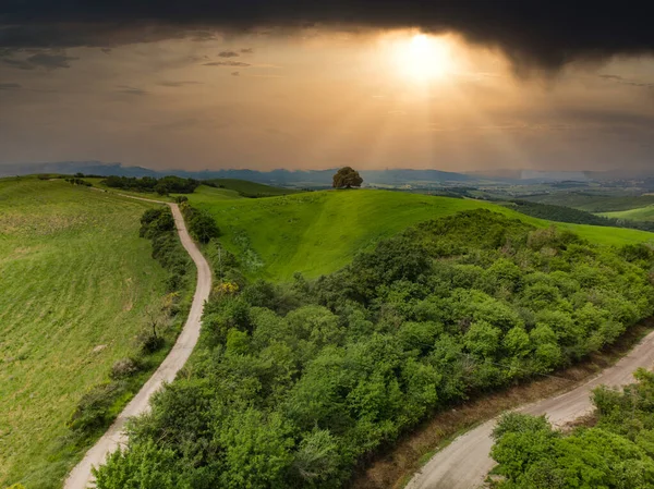 Beeindruckende Frühlingslandschaft Blick Auf Zypressen Und Weinberge Toskana Italien — Stockfoto
