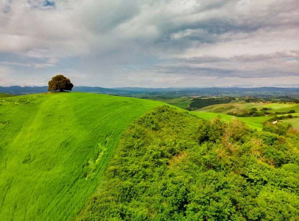 Csodálatos Színes Naplemente Toszkánában Festői Agroturizmus Tipikus Görbe Ciprussal Táj — Stock Fotó