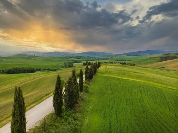 Fantastisk Färgstark Solnedgång Toscana Pittoresk Agroturism Och Typisk Kurvig Väg — Stockfoto