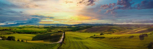 Amazing Colorful Sunset Tuscany Picturesque Agrotourism Typical Curved Road Cypress — Stock Photo, Image