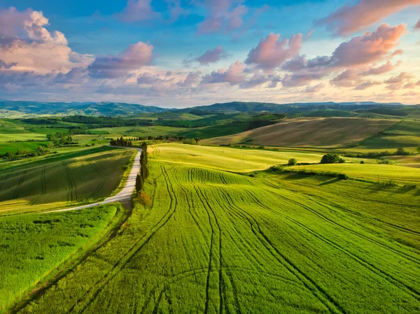 Geweldige Kleurrijke Zonsondergang Toscane Schilderachtig Agrotoerisme Typische Gebogen Weg Met — Stockfoto