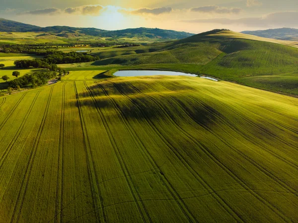 Impressionante Paesaggio Primaverile Vista Con Cipressi Vigneti Toscana Italia — Foto Stock