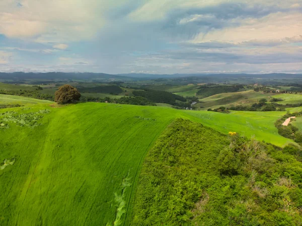 Toskana Inanılmaz Renkli Gün Batımı Resmedilmeye Değer Tarım Tipik Kıvrımlı — Stok fotoğraf