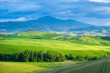 Manzarada muhteşem yeşiller ve ışık boyalı.