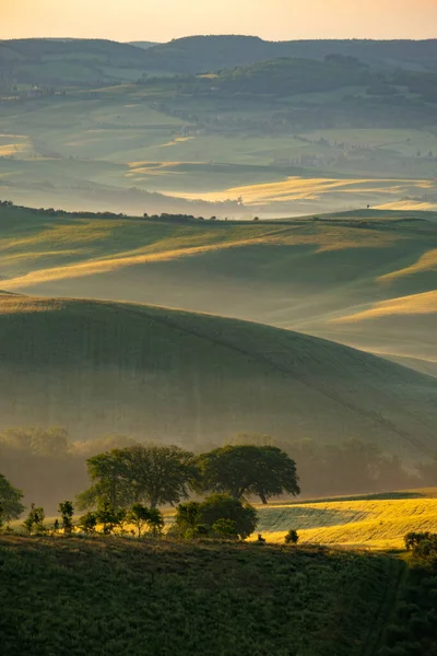Wunderschöne Grünflächen Der Landschaft Und Mit Licht Bemalt — Stockfoto