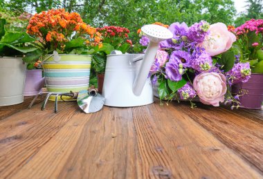 Tahta bir masada sulama tenekesi ve çiçek fideleri