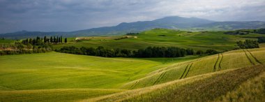 Tuscany manzaraya gündoğumu. Bölge Toskana çiftlik, hills, üzüm bağı için tipik. İtalya