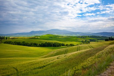 Tuscany manzaraya gündoğumu. Bölge Toskana çiftlik, hills, üzüm bağı için tipik. İtalya