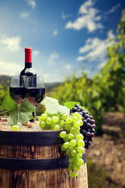 Червоне Вино Бочкою Винограднику Зеленій Тоскані Італія — стокове фото
