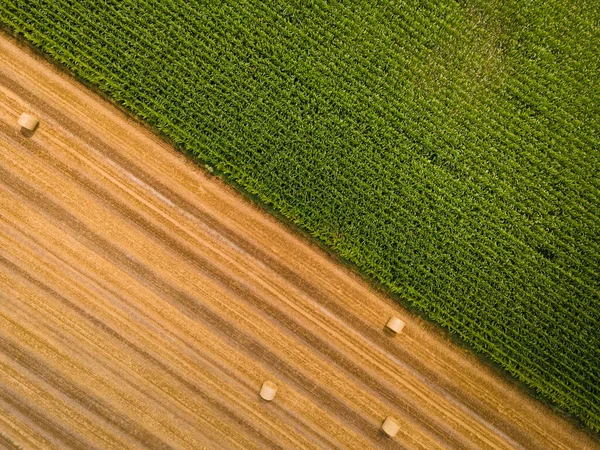 農業分野の空中上面図 — ストック写真