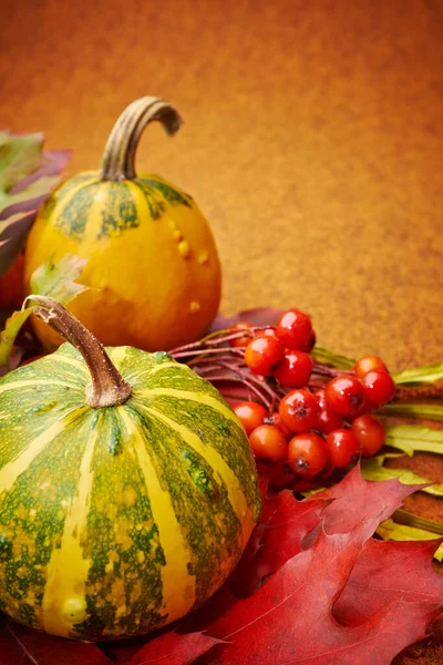 Harvested Pumpkins Fall Leaves Autumn Background — Stock Photo, Image