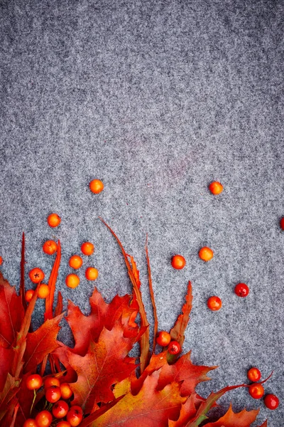 Open Envelope Autumnal Greetings Colorful Leaves Nuts Grey Background Fall — Stock Photo, Image