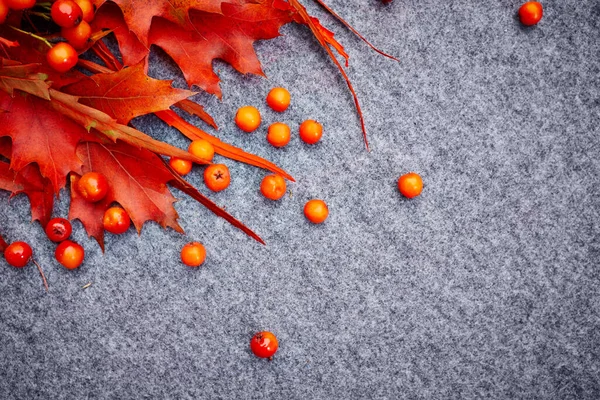 Open Envelope Autumnal Greetings Colorful Leaves Nuts Grey Background Fall — Stock Photo, Image