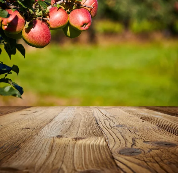 Красное Яблоко Осенью Деревянный Стол — стоковое фото