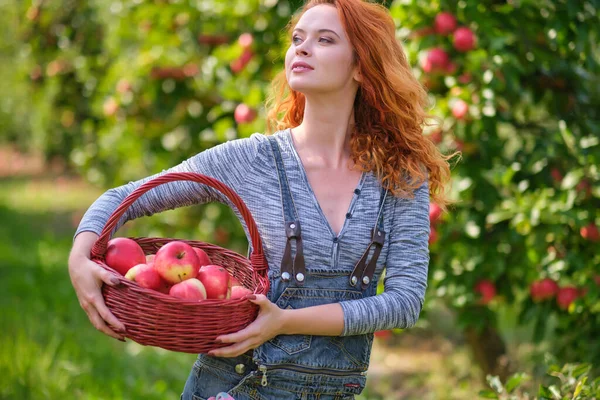 Donna Rossa Con Cesto Mele Nel Frutteto — Foto Stock