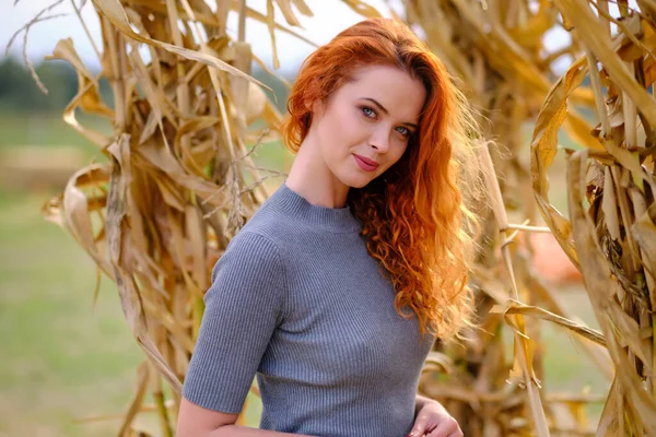 Autumn Portrait Beautiful Woman Pumpkins — Stock Photo, Image